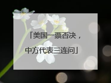 美国一票否决，中方代表三连问